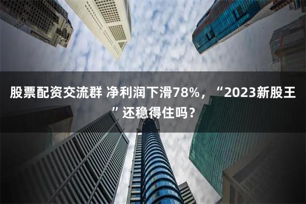 股票配资交流群 净利润下滑78%，“2023新股王”还稳得住吗？