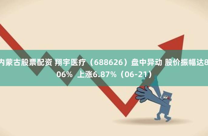 内蒙古股票配资 翔宇医疗（688626）盘中异动 股价振幅达8.06%  上涨6.87%（06-21）