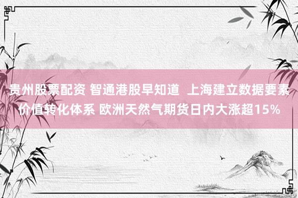 贵州股票配资 智通港股早知道  上海建立数据要素价值转化体系 欧洲天然气期货日内大涨超15%