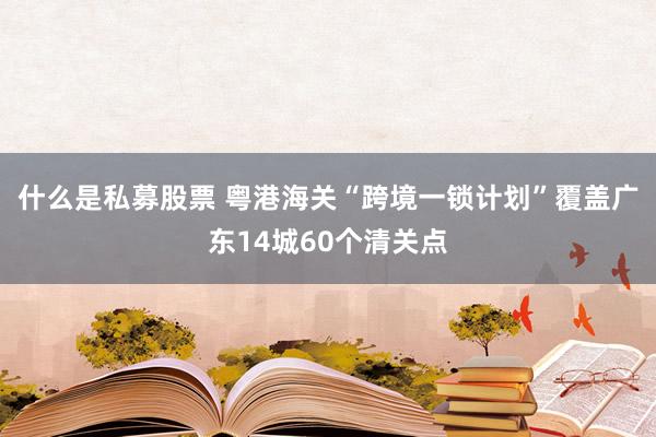 什么是私募股票 粤港海关“跨境一锁计划”覆盖广东14城60个清关点