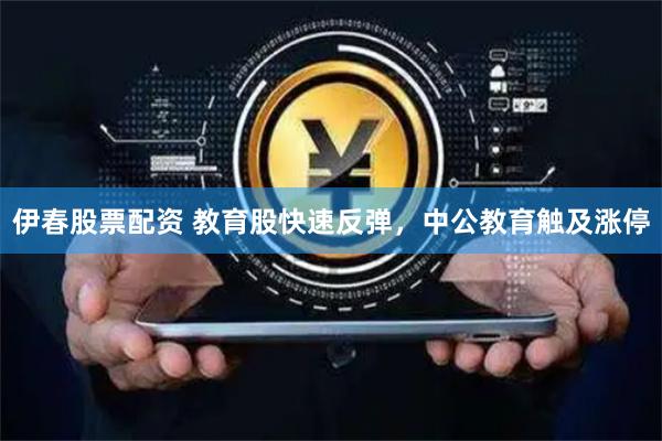 伊春股票配资 教育股快速反弹，中公教育触及涨停