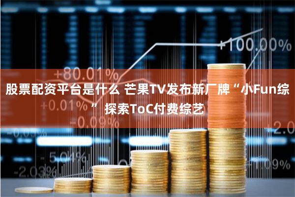 股票配资平台是什么 芒果TV发布新厂牌“小Fun综” 探索ToC付费综艺