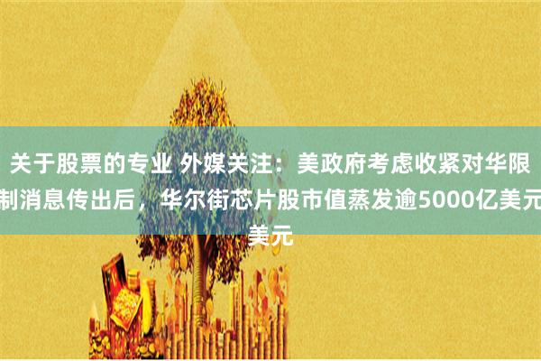 关于股票的专业 外媒关注：美政府考虑收紧对华限制消息传出后，华尔街芯片股市值蒸发逾5000亿美元