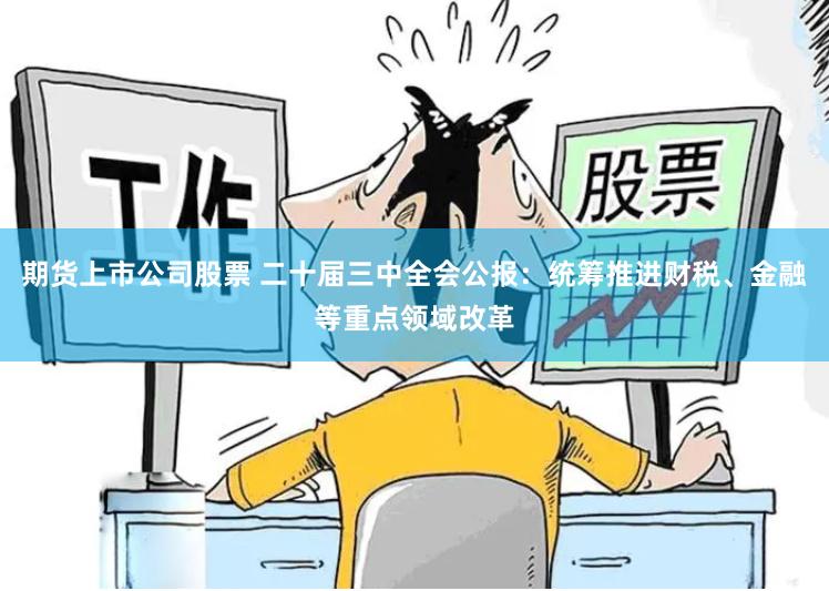 期货上市公司股票 二十届三中全会公报：统筹推进财税、金融等重点领域改革