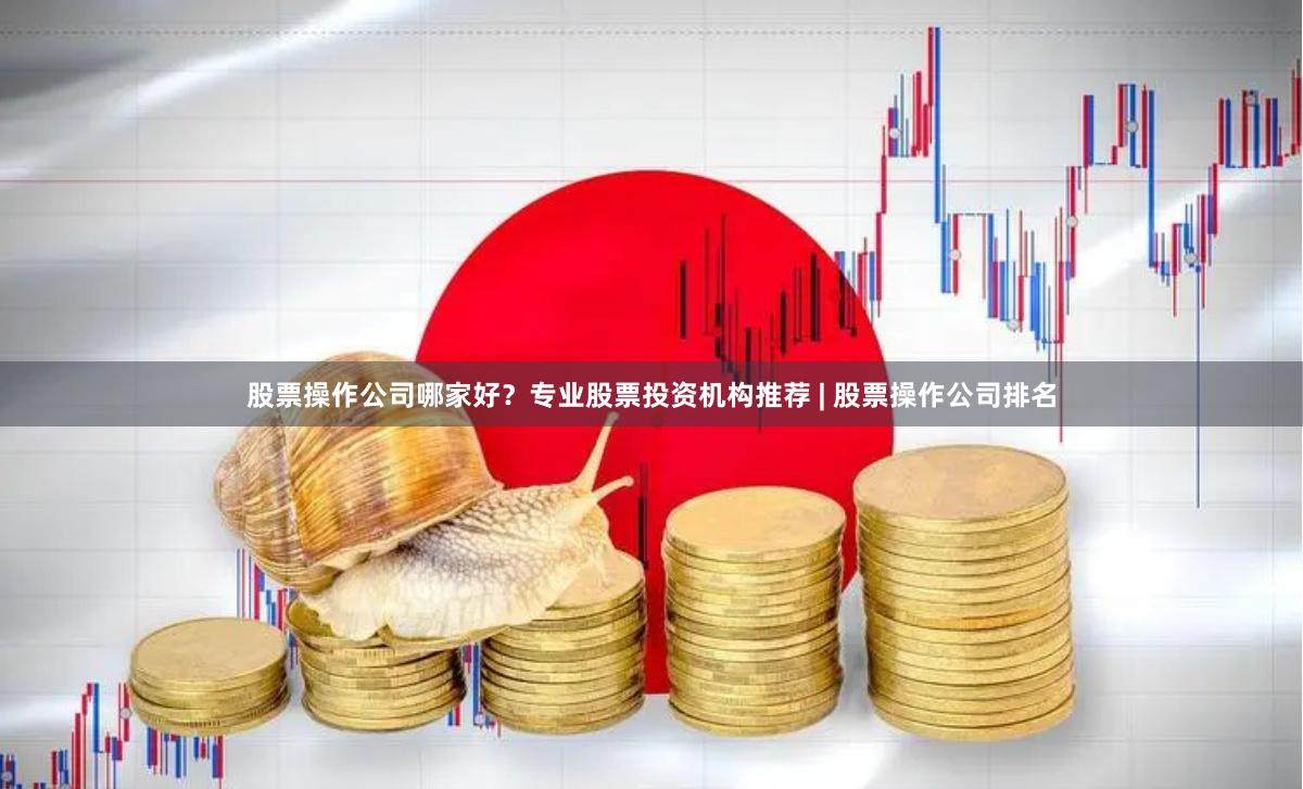 股票操作公司哪家好？专业股票投资机构推荐 | 股票操作公司排名