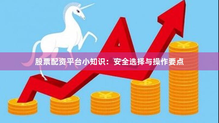股票配资平台小知识:安全选择与操作要点