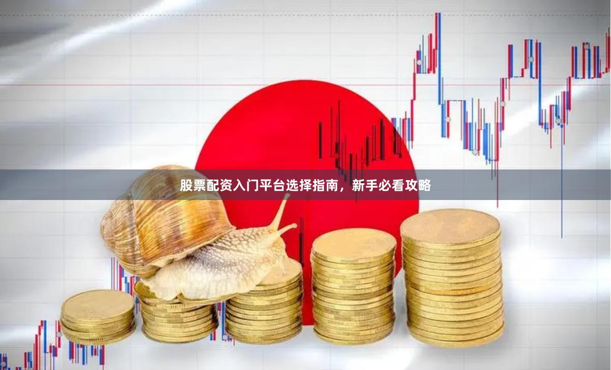 股票配资入门平台选择指南，新手必看攻略