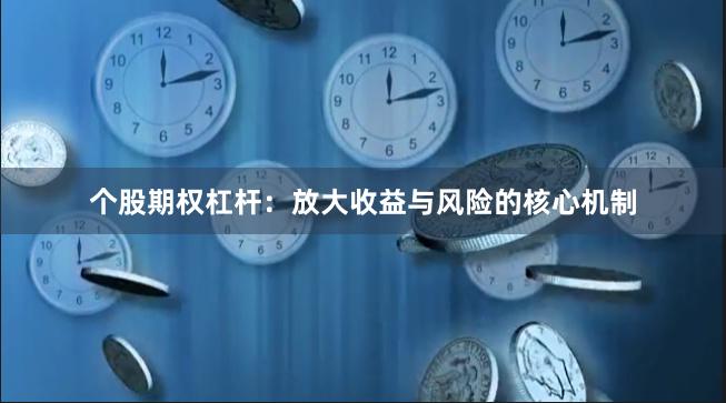 个股期权杠杆：放大收益与风险的核心机制