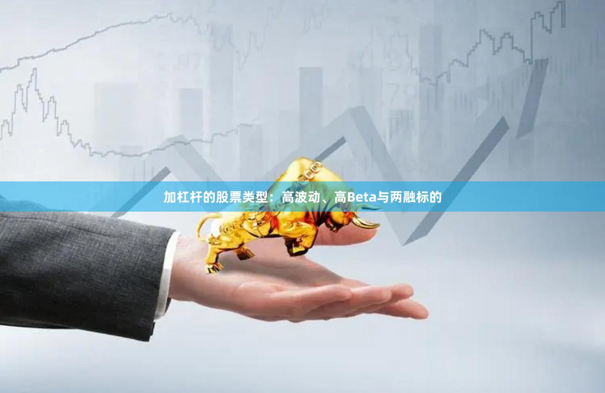 加杠杆的股票类型：高波动、高Beta与两融标的