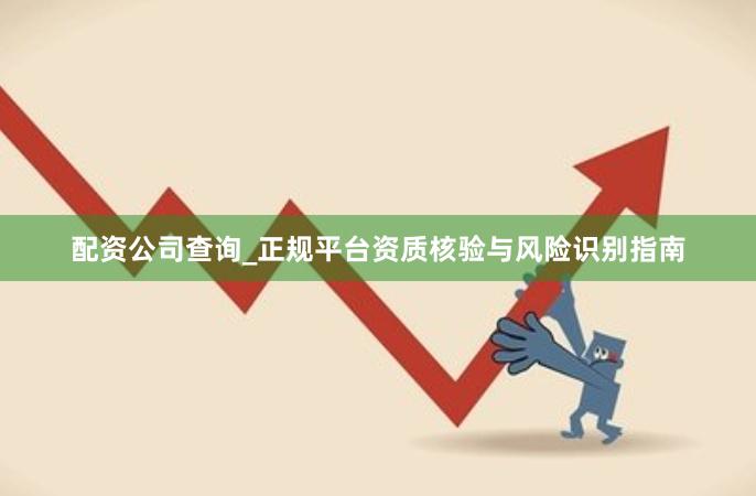 配资公司查询_正规平台资质核验与风险识别指南